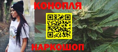 крисы Шелехов