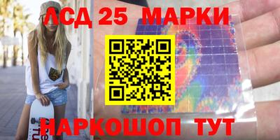 крисы Шелехов