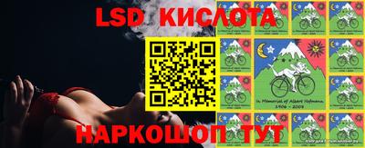 крисы Шелехов