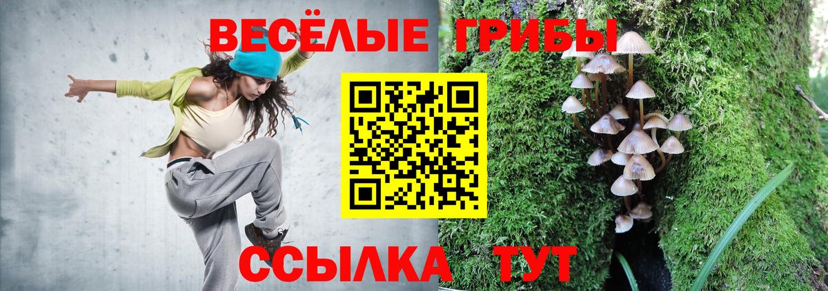 Ефремов  Псилоцибиновые грибы Magic Shrooms  Вход с VPN  Псилоцибиновые грибы Cubensis 