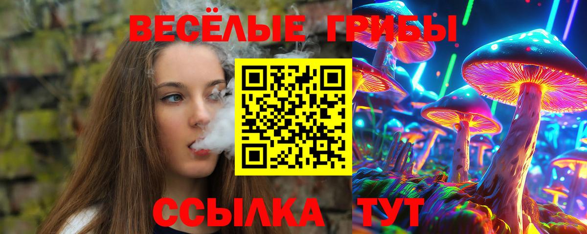 Галлюциногенные грибы GOLDEN TEACHER Ефремов